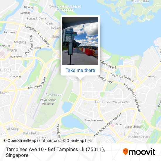 Tampines Ave 10 - Bef Tampines Lk (75311) map
