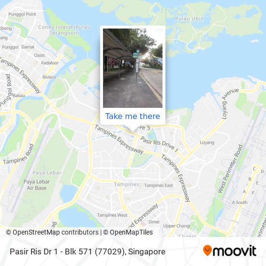 Pasir Ris Dr 1 - Blk 571 (77029) map