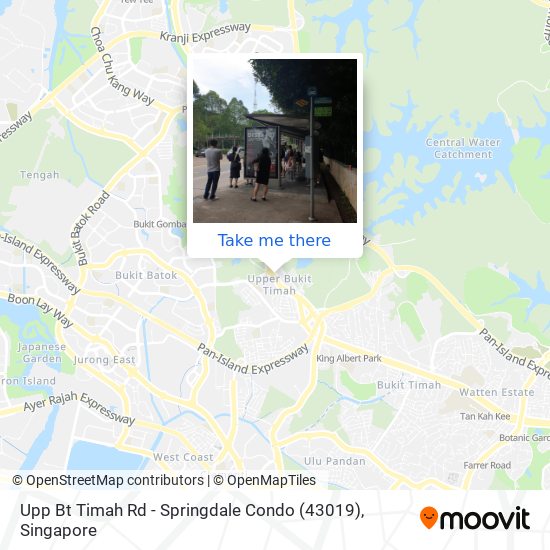 Upp Bt Timah Rd - Springdale Condo (43019)地图