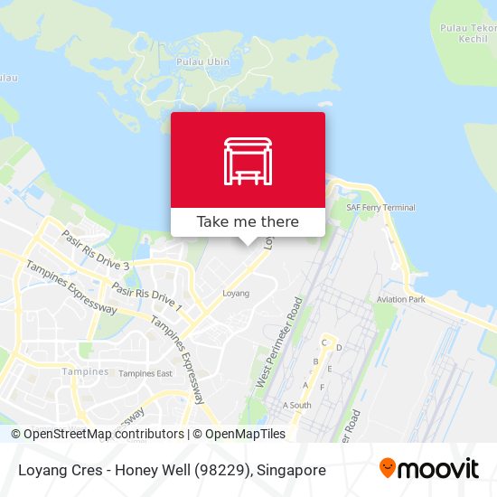 Loyang Cres - Honey Well (98229) map