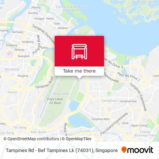 Tampines Rd - Bef Tampines Lk (74031) map