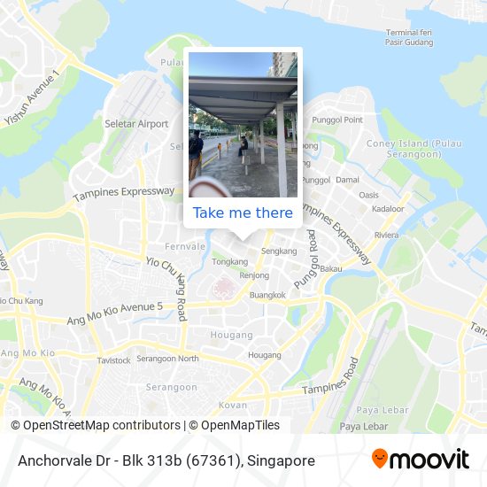 Anchorvale Dr - Blk 313b (67361) map