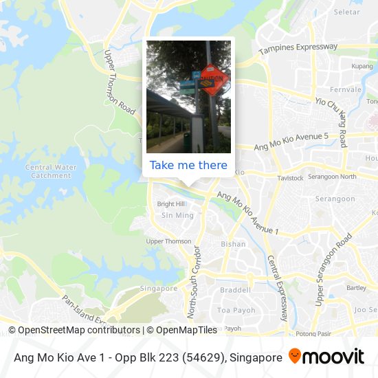 Ang Mo Kio Ave 1 - Opp Blk 223 (54629) map