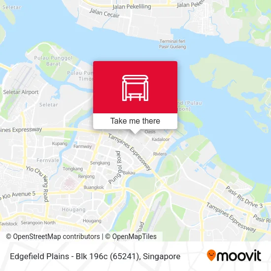 Edgefield Plains - Blk 196c (65241)地图