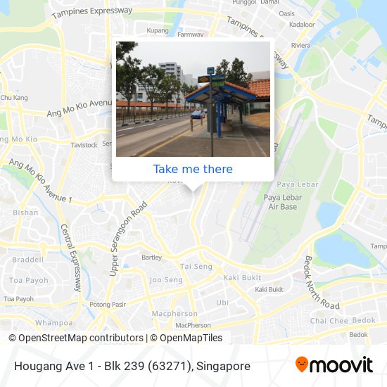 Hougang Ave 1 - Blk 239 (63271) map