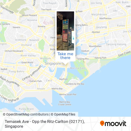 Temasek Ave - Opp the Ritz-Carlton (02171) map