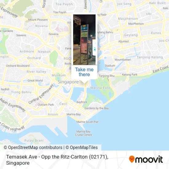 Temasek Ave - Opp the Ritz-Carlton (02171)地图