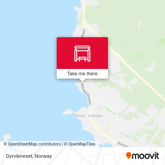 Dyrvikneset map
