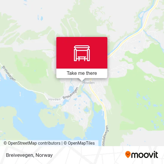 Breivevegen map