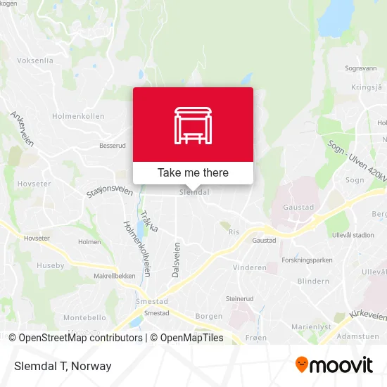Slemdal T map