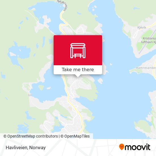 Havliveien map