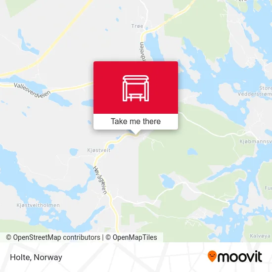 Holte map
