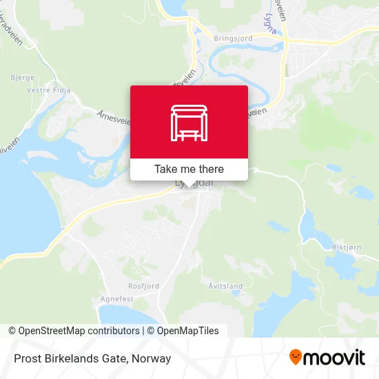 Prost Birkelands Gate map
