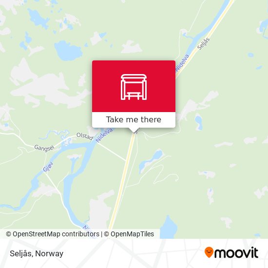 Seljås map