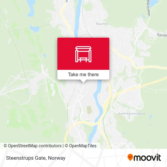 Steenstrups Gate map