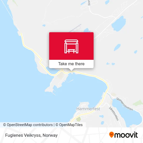 Fuglenes Veikryss map