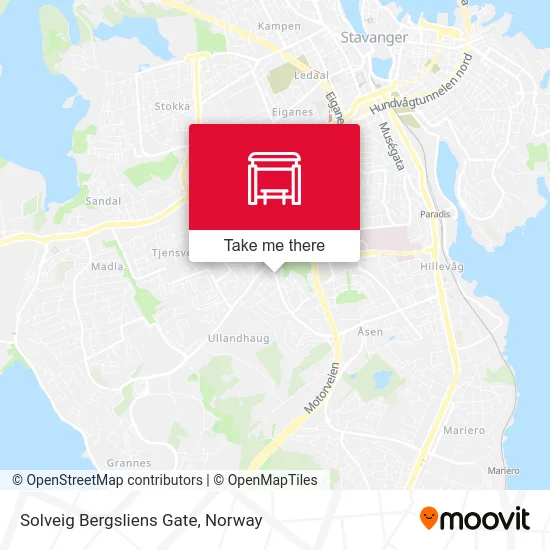 Solveig Bergsliens Gate map