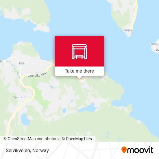 Selvikveien map