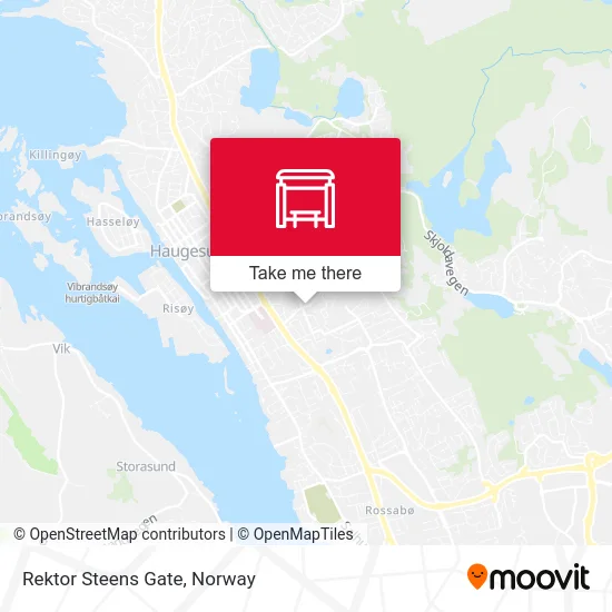 Rektor Steens Gate map