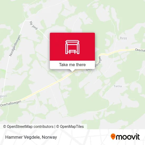 Hammer Vegdele map