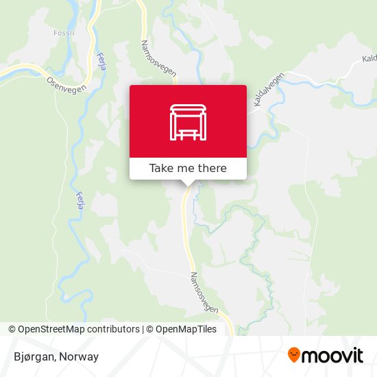 Bjørgan map