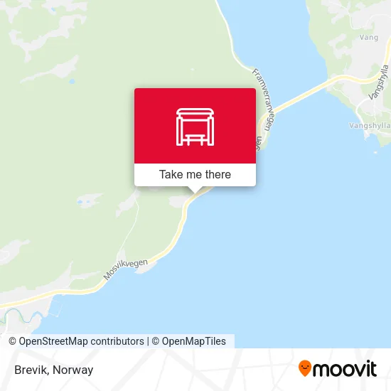 Brevik map