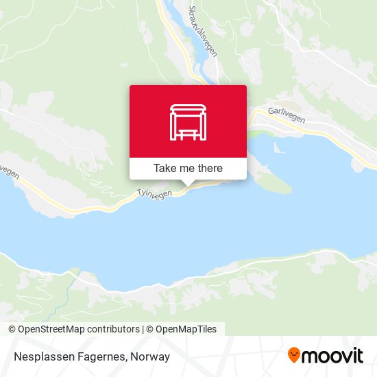 Nesplassen Fagernes map