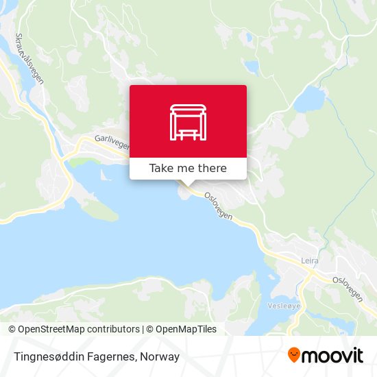 Tingnesøddin Fagernes map