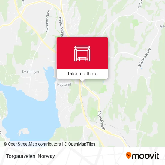 Torgautveien map