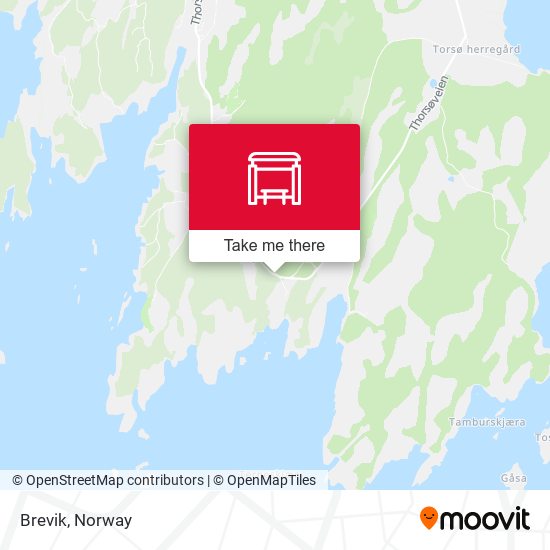 Brevik map