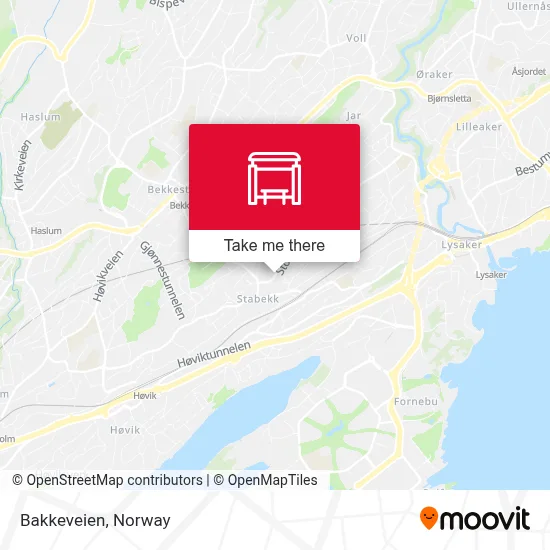 Bakkeveien map