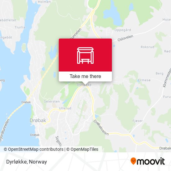 Dyrløkke map