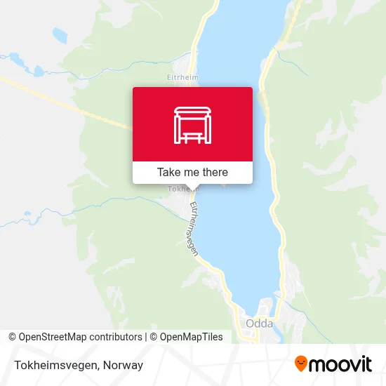 Tokheimsvegen map