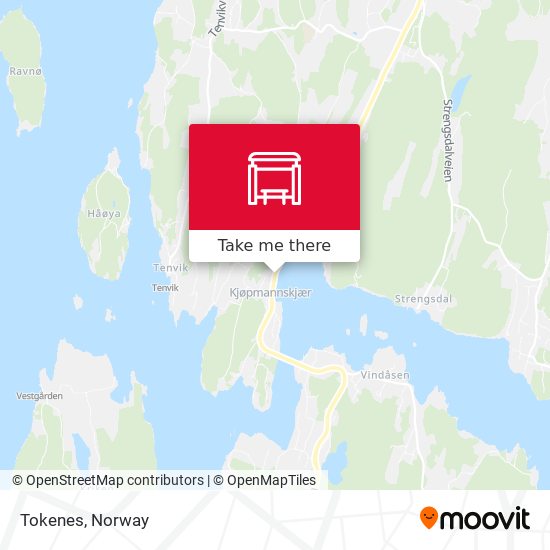 Tokenes map