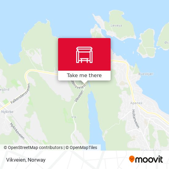 Vikveien map