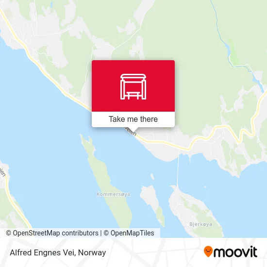 Alfred Engnes Vei map