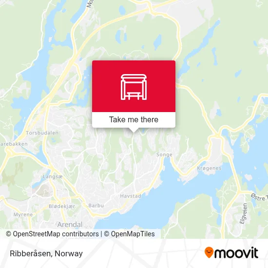 Ribberåsen map