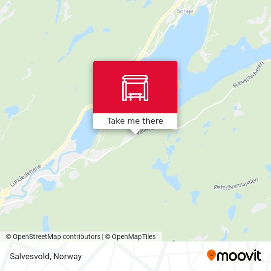 Salvesvold map