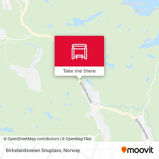 Birkelandsveien Snuplass map