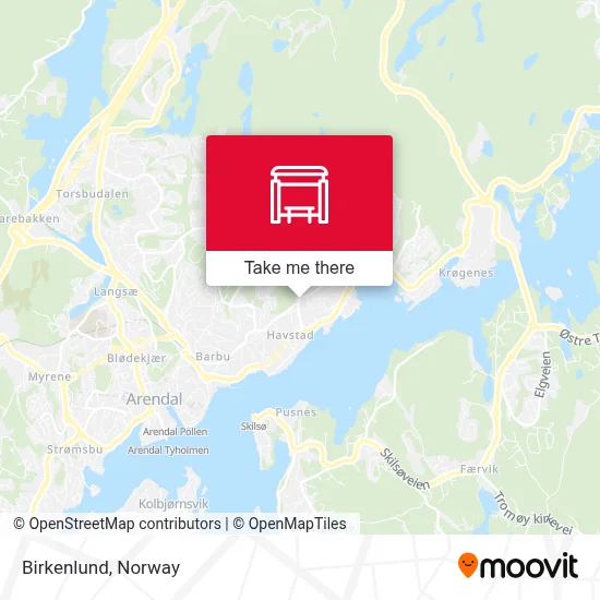 Birkenlund map