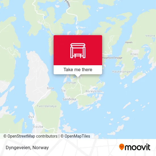 Dyngeveien map