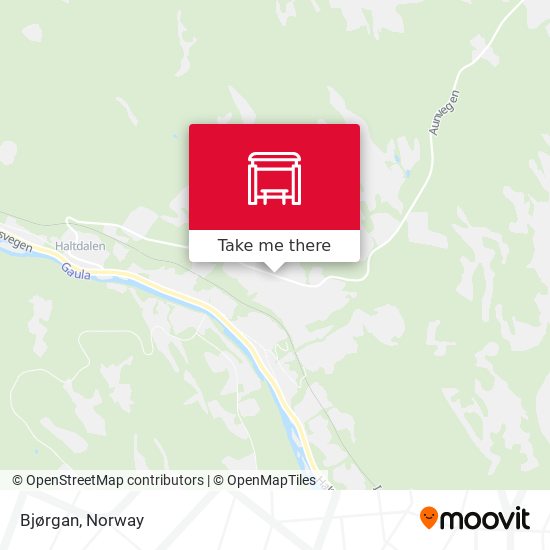 Bjørgan map