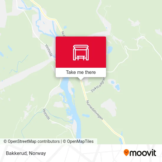 Bakkerud map