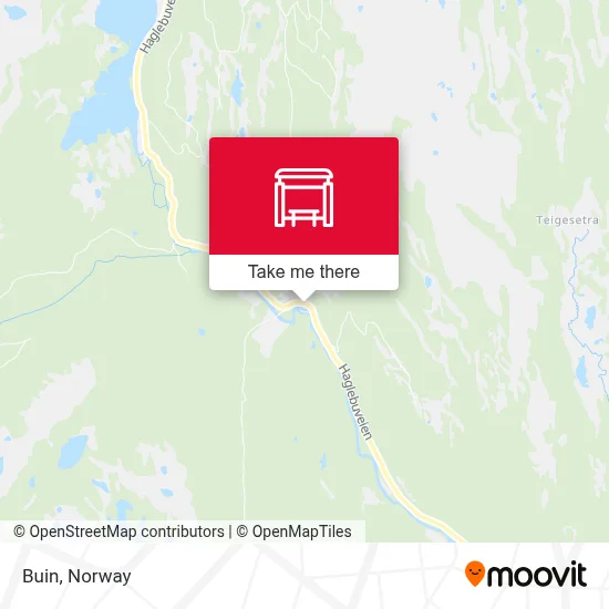 Buin map