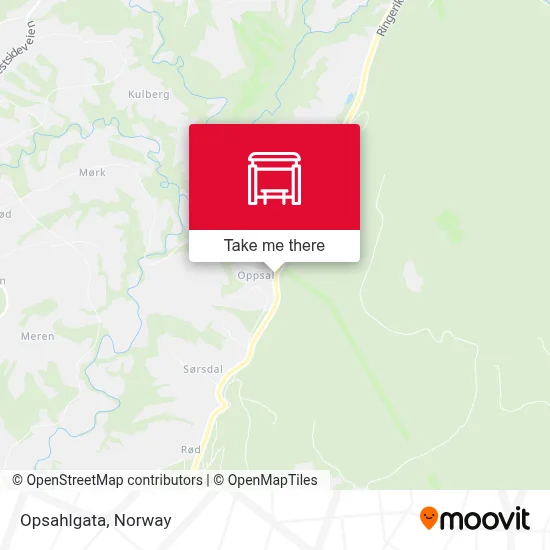 Opsahlgata map