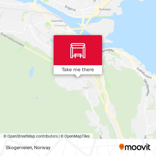 Skogerveien map