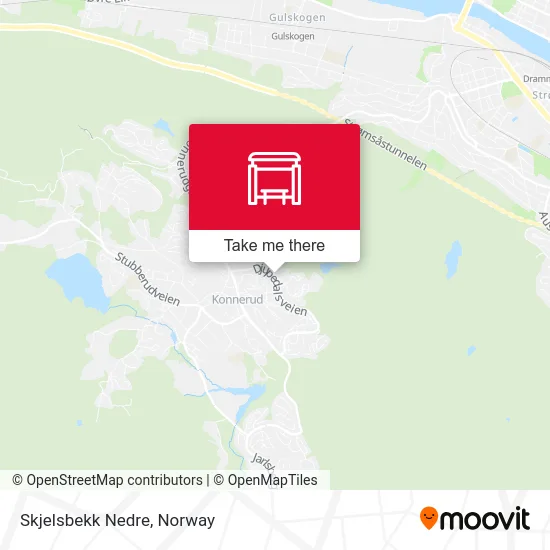 Skjelsbekk Nedre map