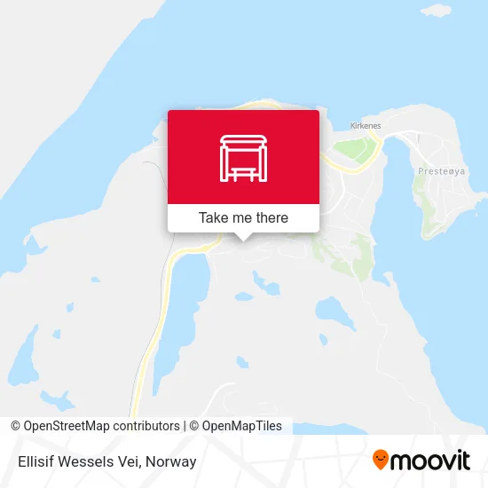 Ellisif Wessels Vei map