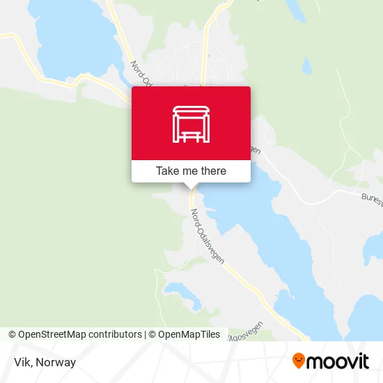 Vik map