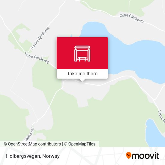 Holbergsvegen map